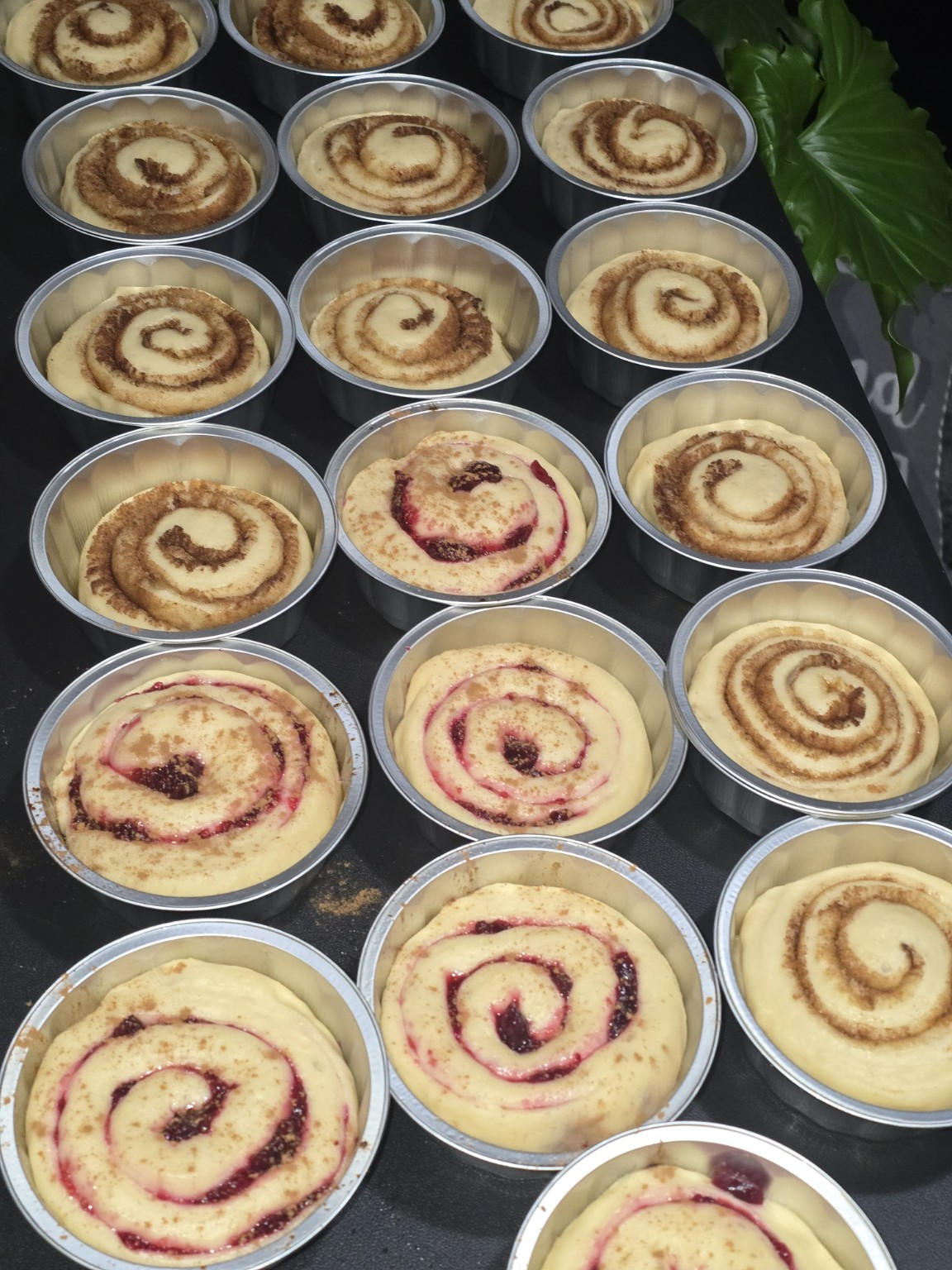Individual rolls proofing in fluted pans, cinnamon and berry swirls